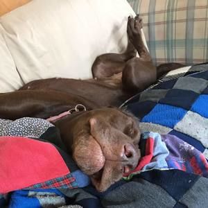 Meet your Posher, Julie